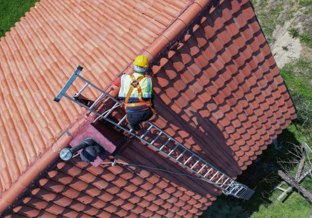 Best Skylight Installation and Repair  in Wayne City, IL